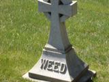 Hier liegt Weed begraben