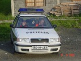 Polizei