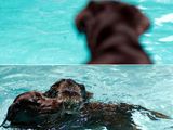 Ins Wasser gefallen