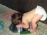 Baby-Fressnapf Baby-Fressnapf