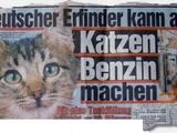 Katzenbenzin