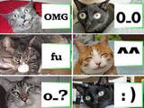 Katzen-Smileys