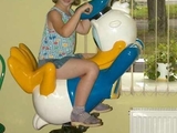 Donaldschaukel