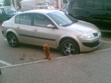 Hund an der Felge