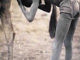 Eine sch&ouml;ne Dusche