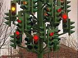 Ampelbaum