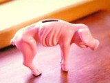Sparschwein