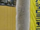 Lange Katze
