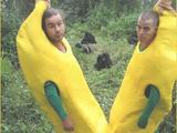 Zwei Bananen