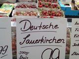 Sauerkirchen