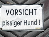Pissiger Hund