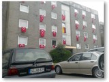 Einzelk&auml;mpfer