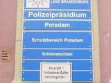 Freilaufende Bullen