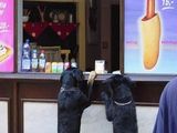 Hot Dog