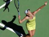 Tenniskatze