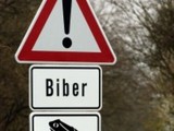 Bieberkr&ouml;ten