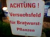 Bratwurstpflanzen