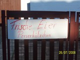 Frische eier perserk&auml;tzchen