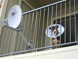 Satellitensch&uuml;ssel