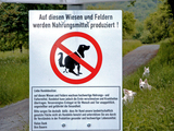 Hundeverbot