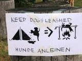 Hunde anleinen