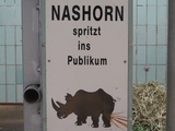 Nashorn spritzt