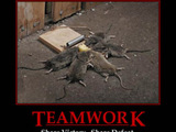 Teamwork