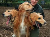 Hundekost&uuml;m f&uuml;r Halloween