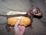S&uuml;&szlig;er Hot Dog