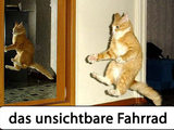 Das unsichtbare Fahrrad
