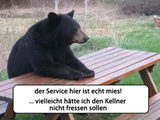 Mieser Service