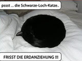 Schwarze Loch Katze