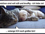 Einfach mal kuscheln