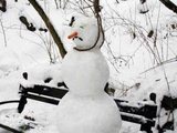 Armer Schneemann