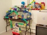 Hamsterparadies