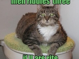 Erpresser-Katze