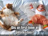 Baby und Katze