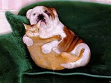 Kuscheln auf dem Sofa