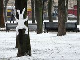 Schneehase am Baum