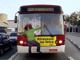 Vom Bus mitgenommen