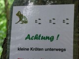 Kleine Kr&ouml;ten
