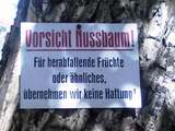 Vorsicht Nussbaum