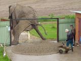 Elefant hat Durchfall