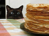 Naschkatze