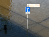 Im Wasser keine Wendem&ouml;glichkeit