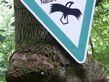 Achtung! Schilderfressender Baum
