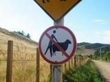 Lasst die Schafe in Ruhe!