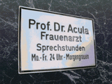Professor Dracula