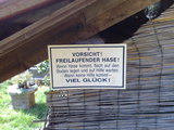 Achtung! Freilaufender Hase!
