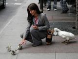 Freche Gans